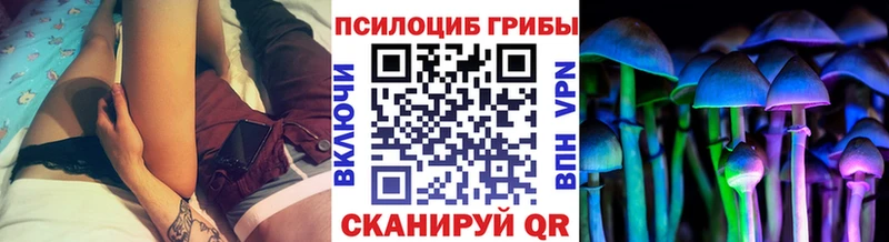 продажа наркотиков  Пикалёво  Псилоцибиновые грибы MAGIC MUSHROOMS 